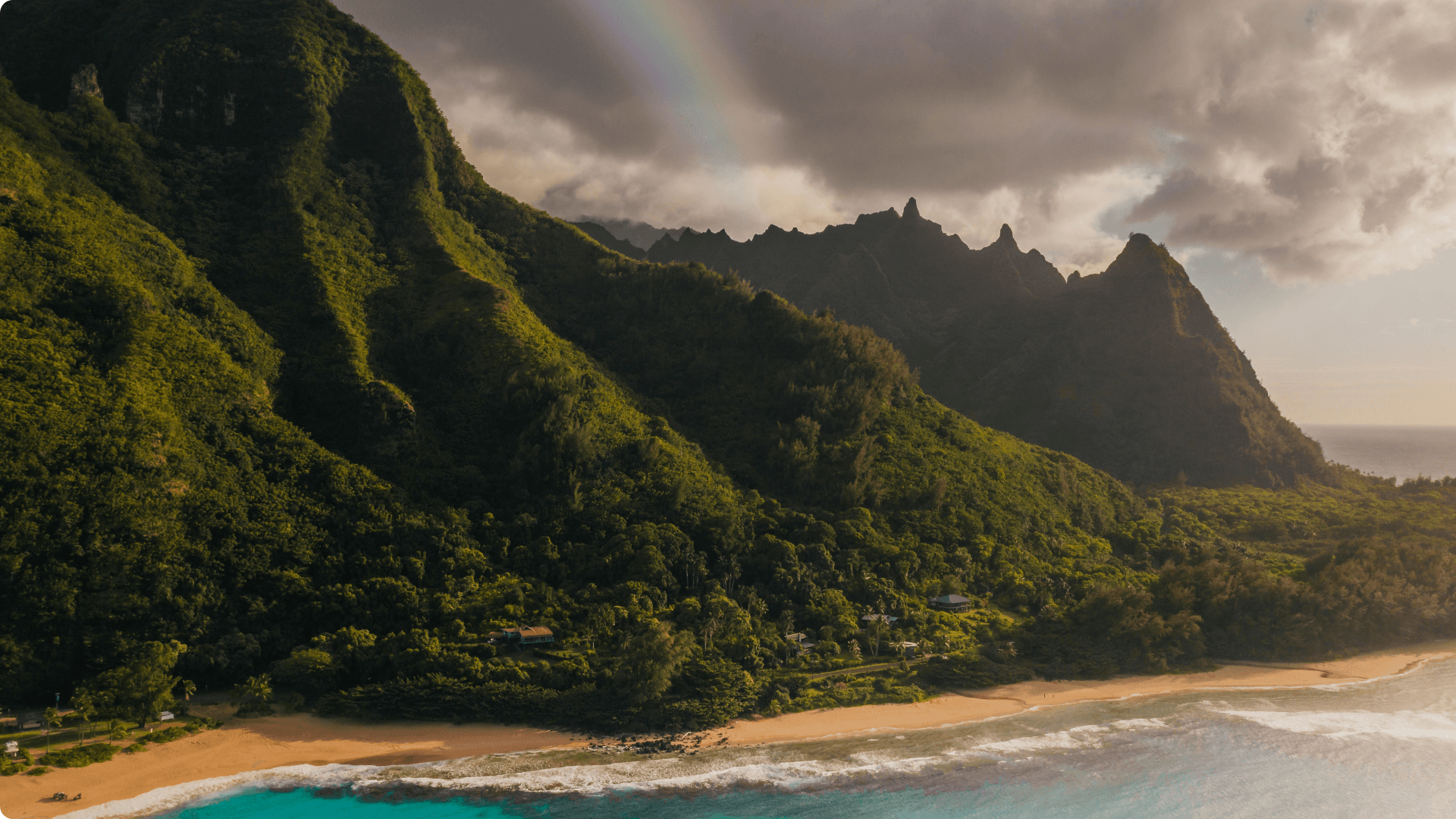 Tropical Paradise